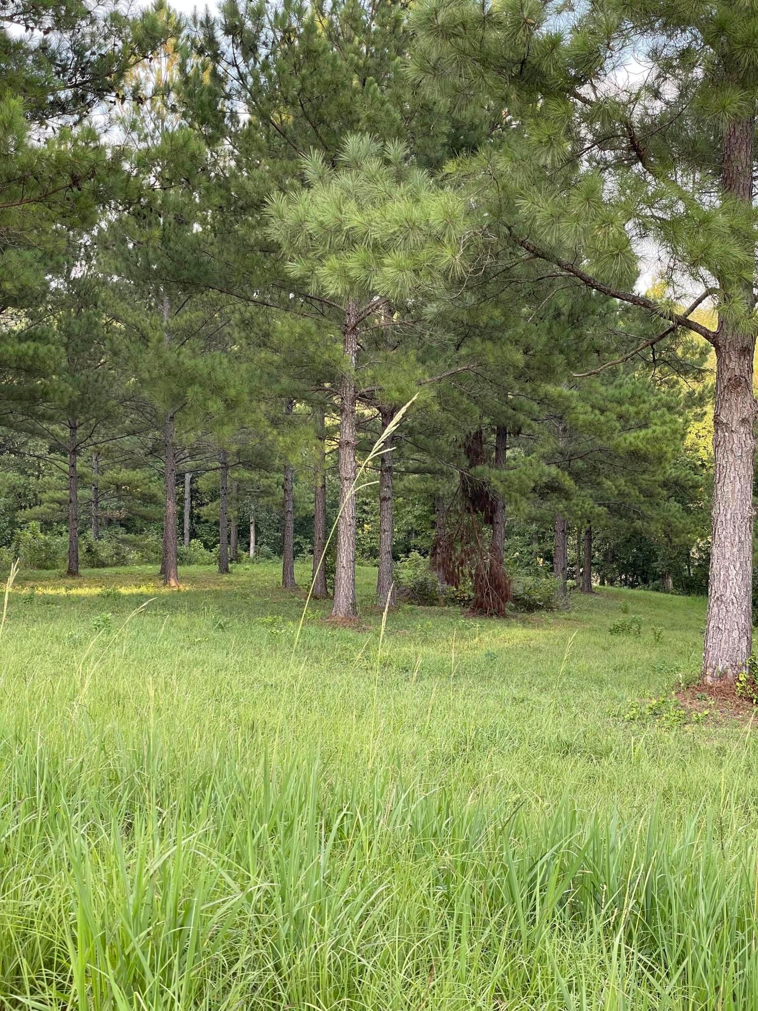 LOT 21 GRANDVIEW SHORES