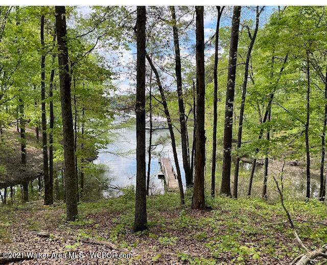 LOT 42 LAKESHORE WEST PHASE 3