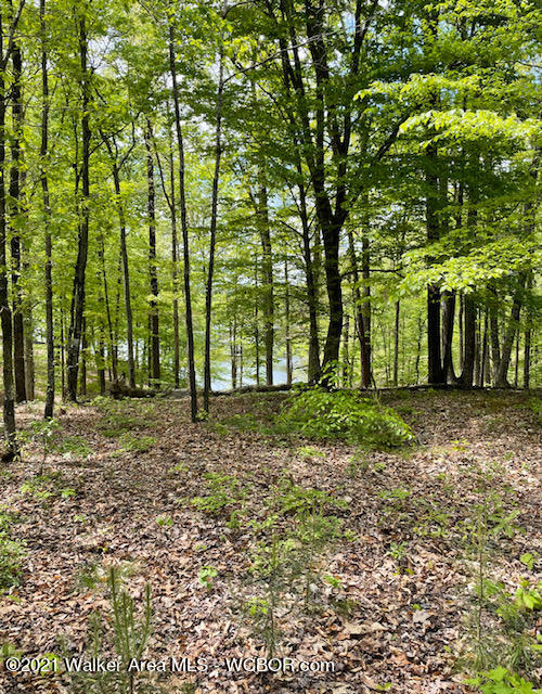 LOT 42 LAKESHORE WEST PHASE 3