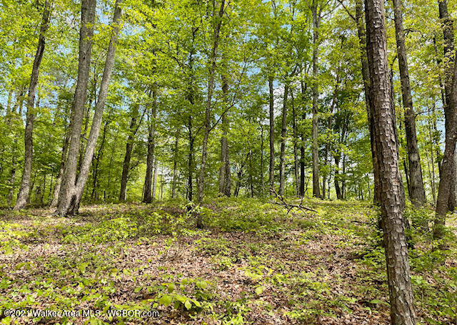 LOT 42 LAKESHORE WEST PHASE 3