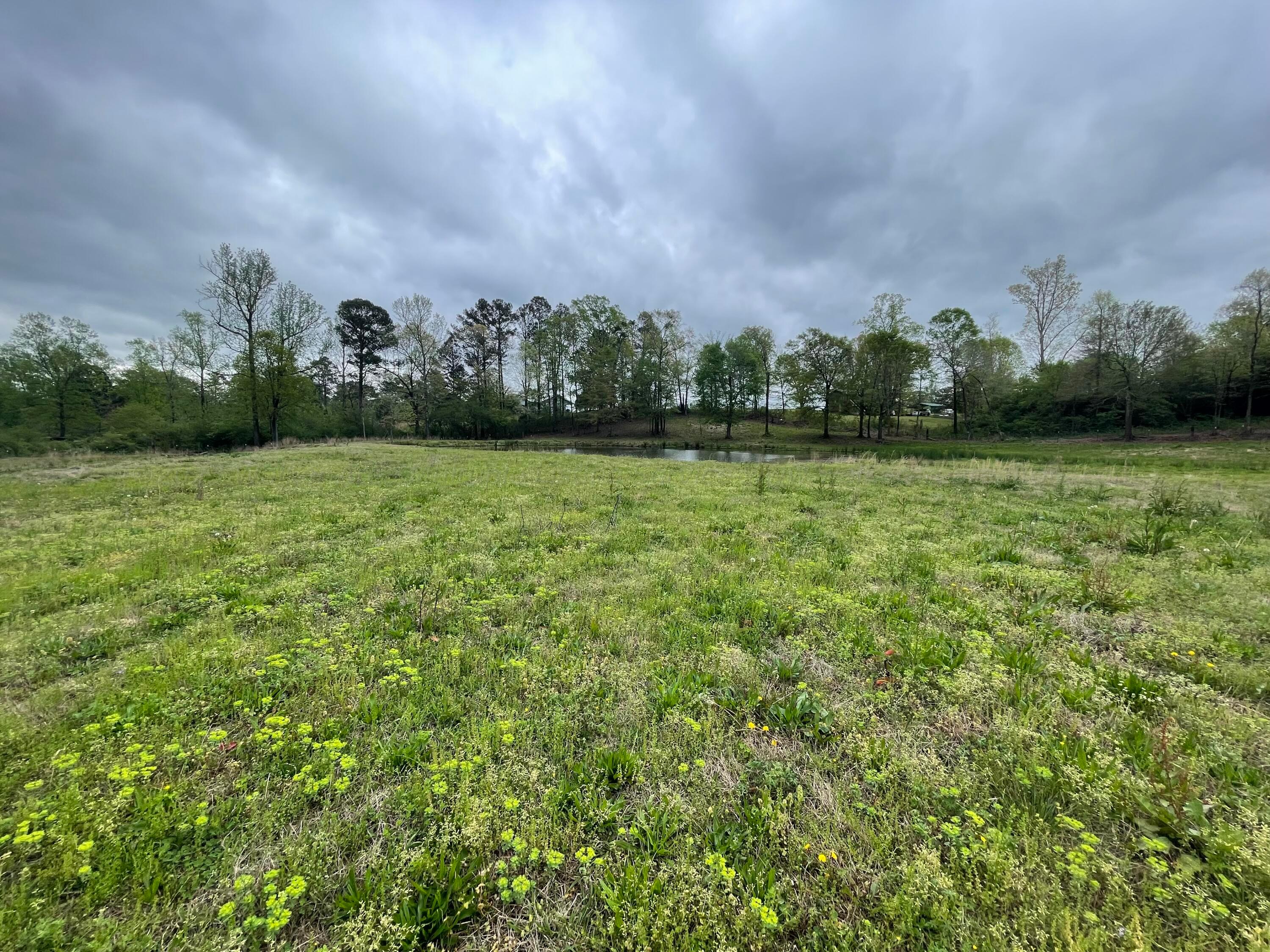 0 CO RD 569