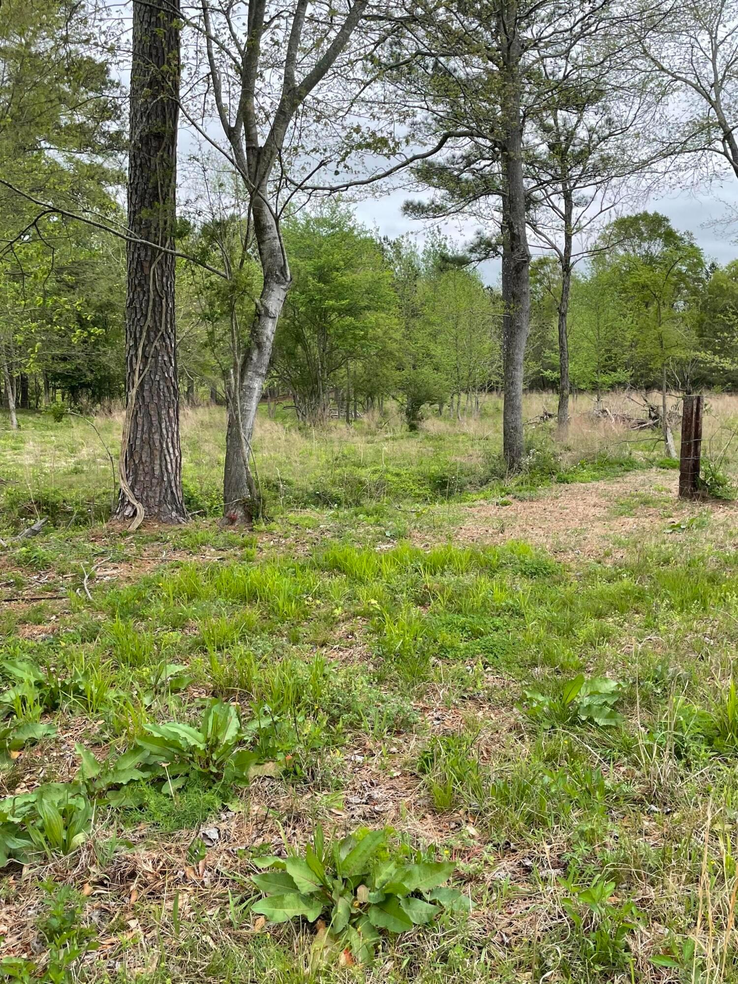 0 CO RD 569