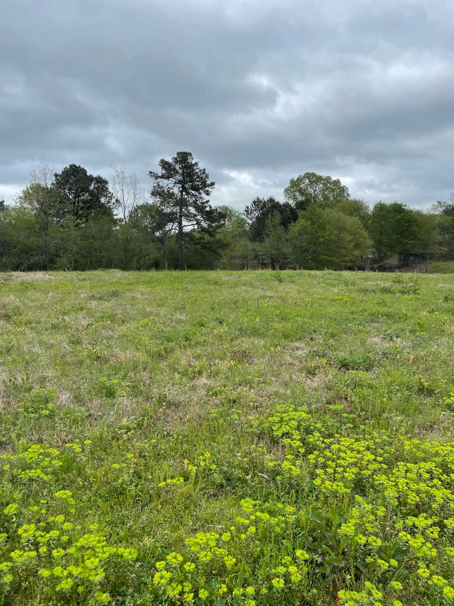 0 CO RD 569