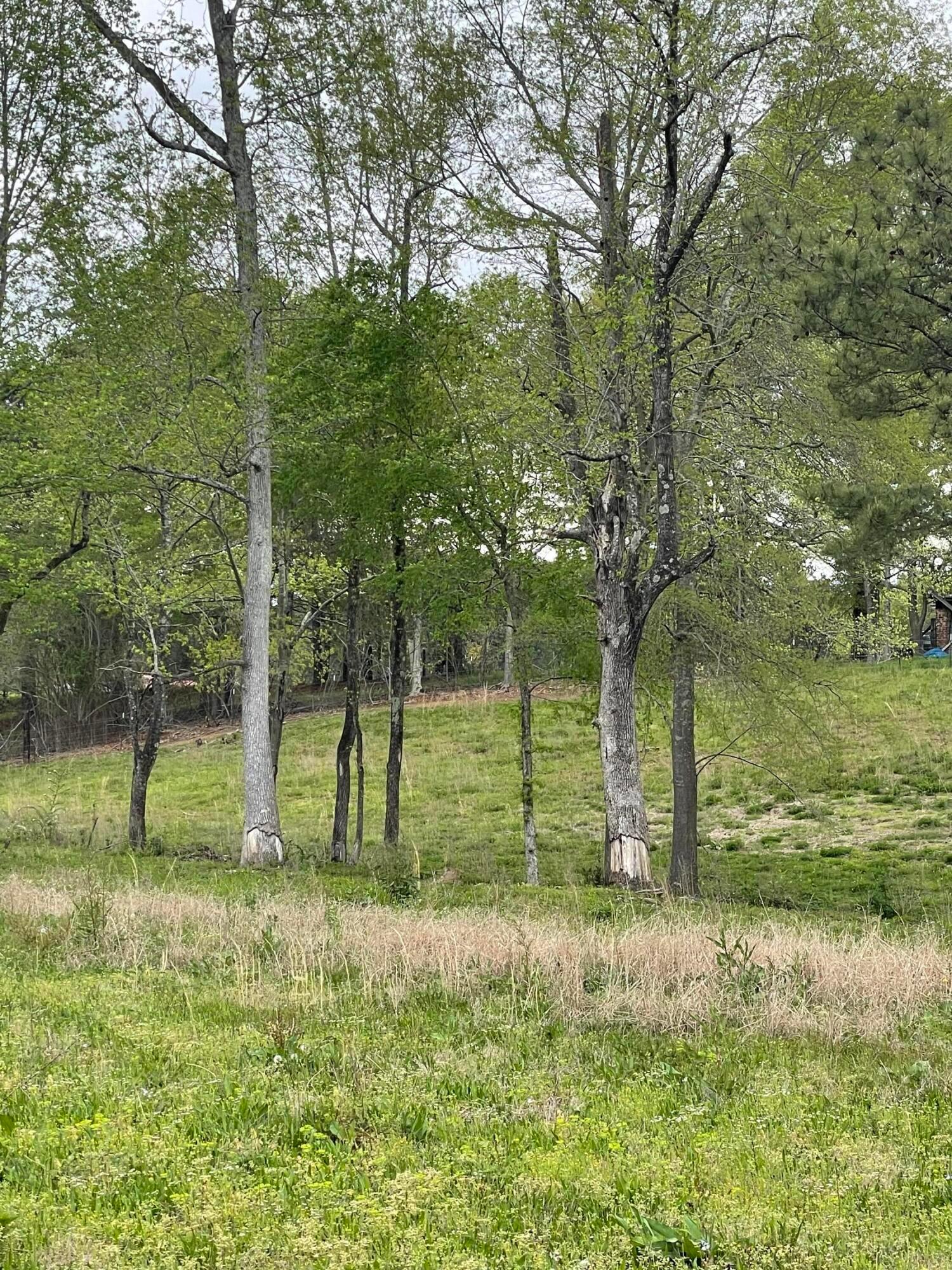 0 CO RD 569