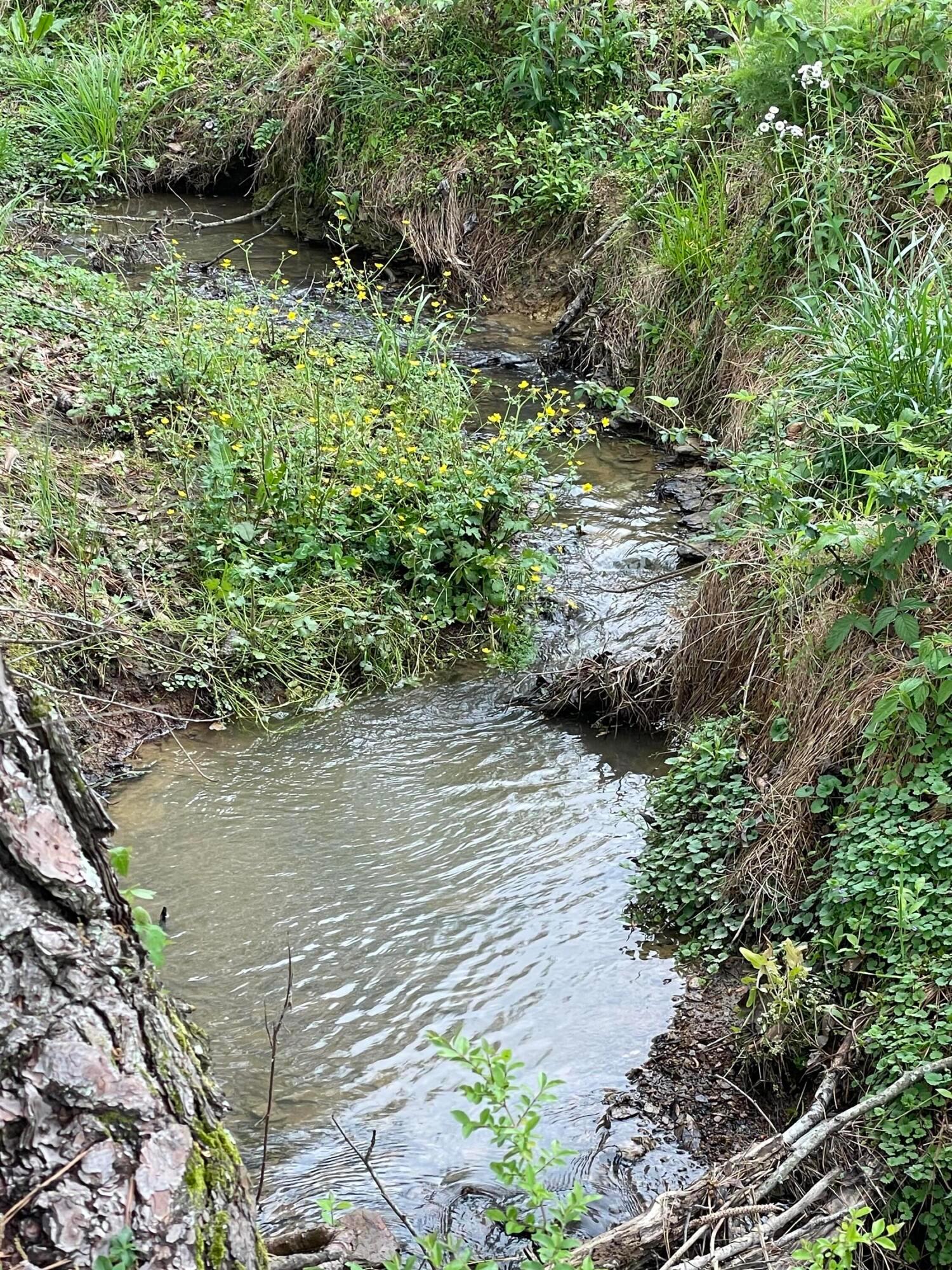 0 CO RD 569