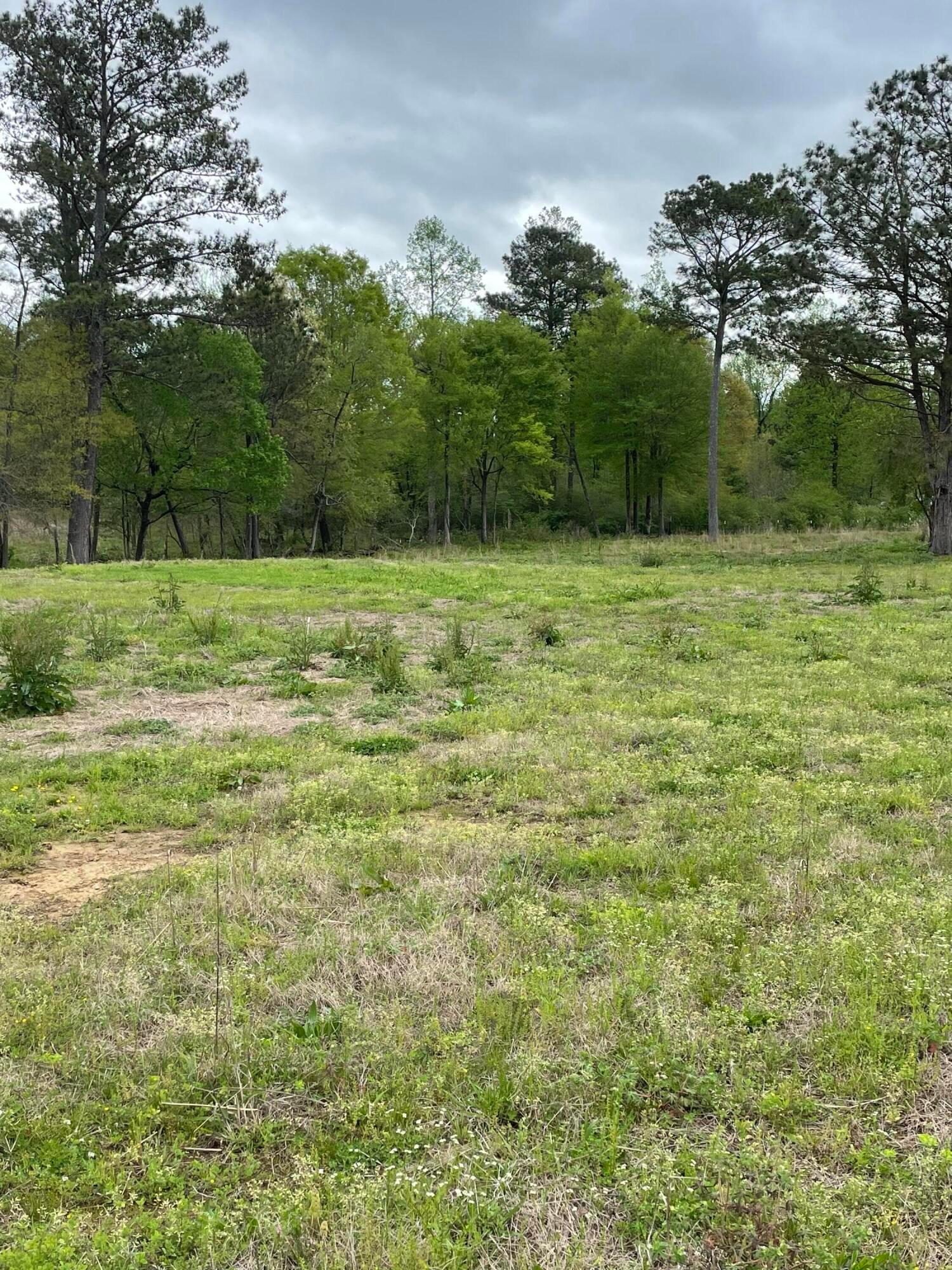 0 CO RD 569