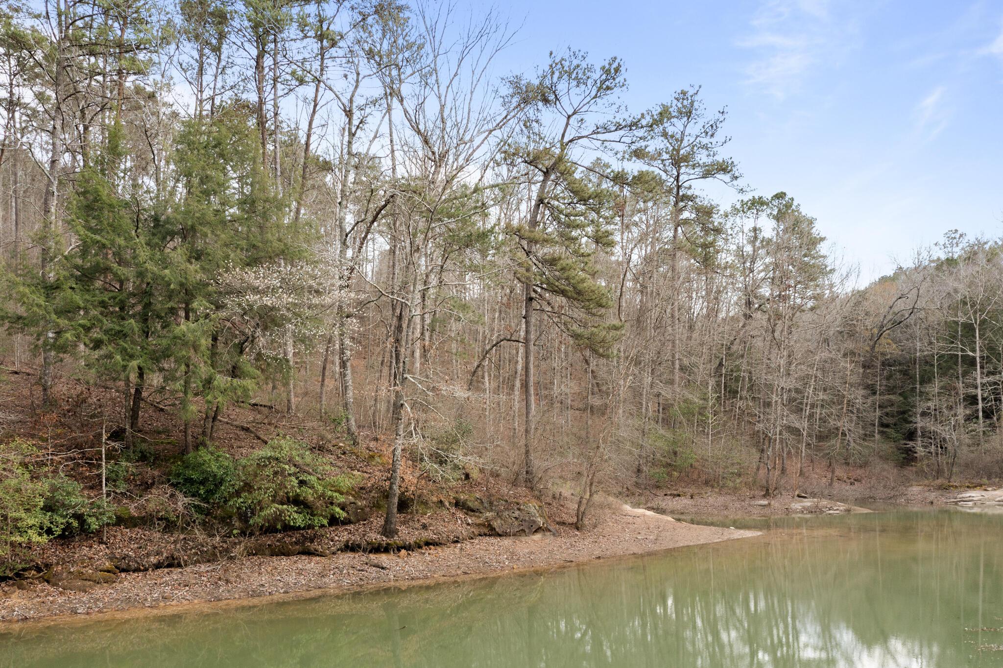 LOT 40 SIPSEY OVERLOOK