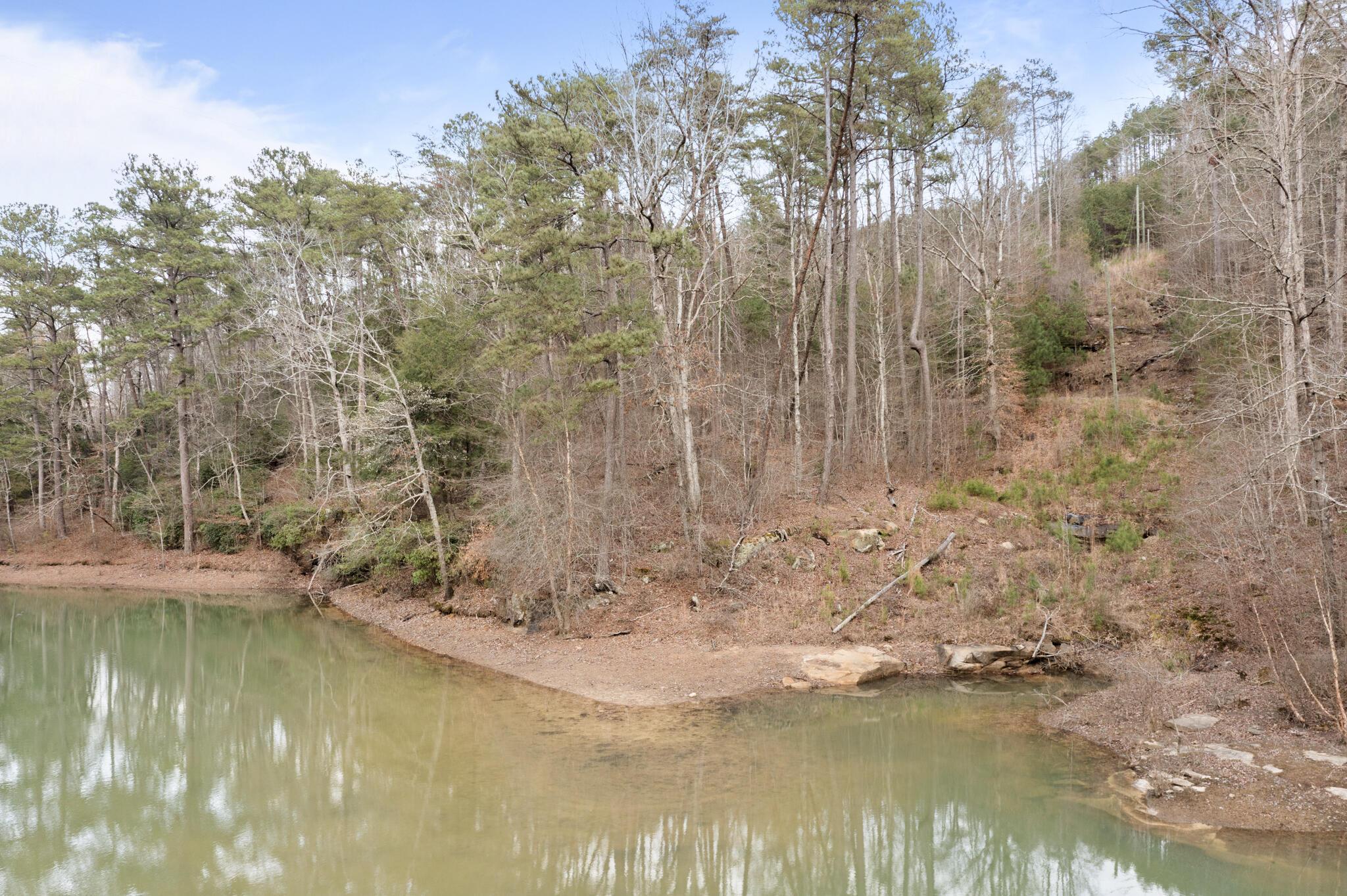 LOT 40 SIPSEY OVERLOOK