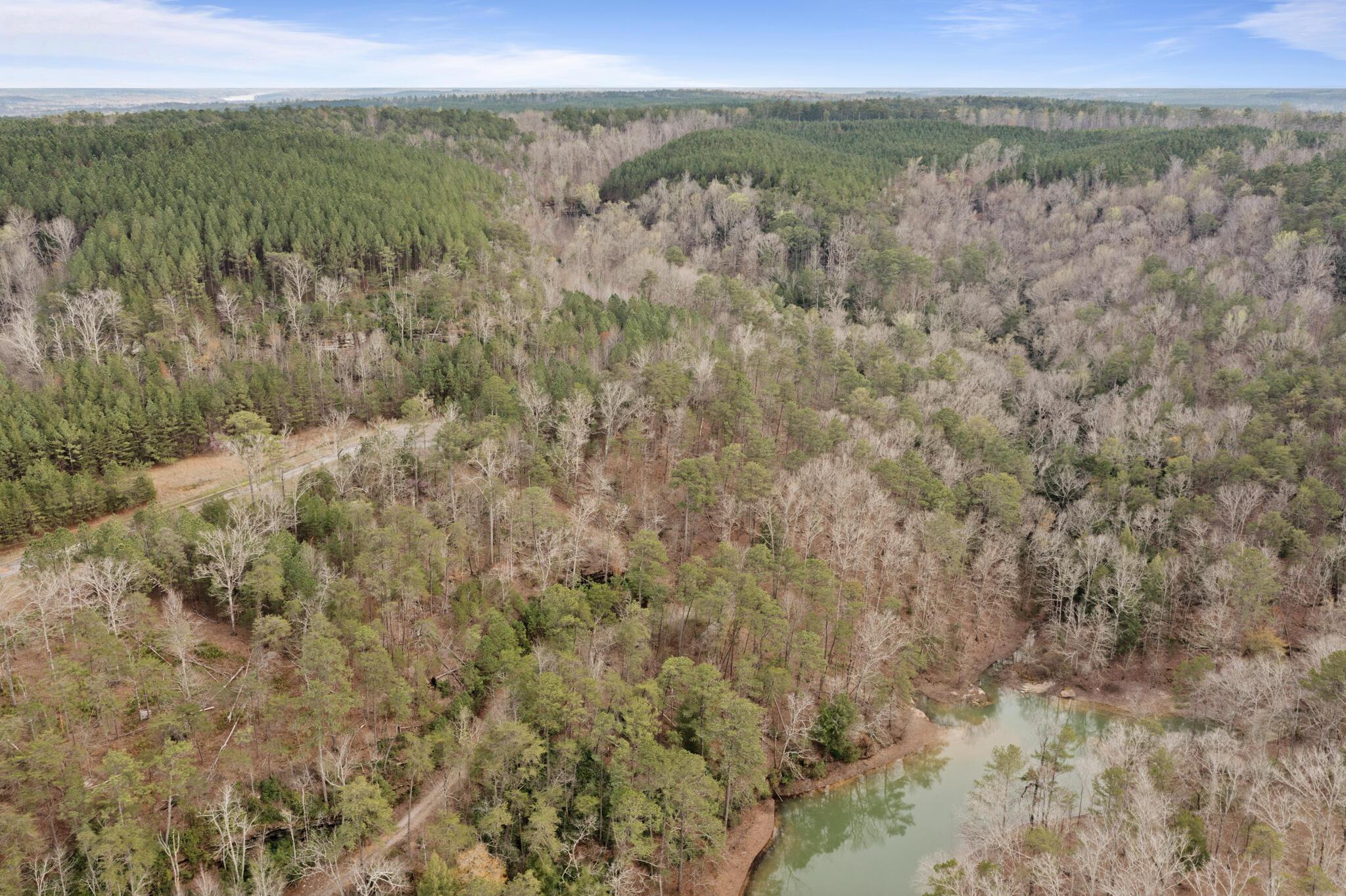 LOT 40 SIPSEY OVERLOOK