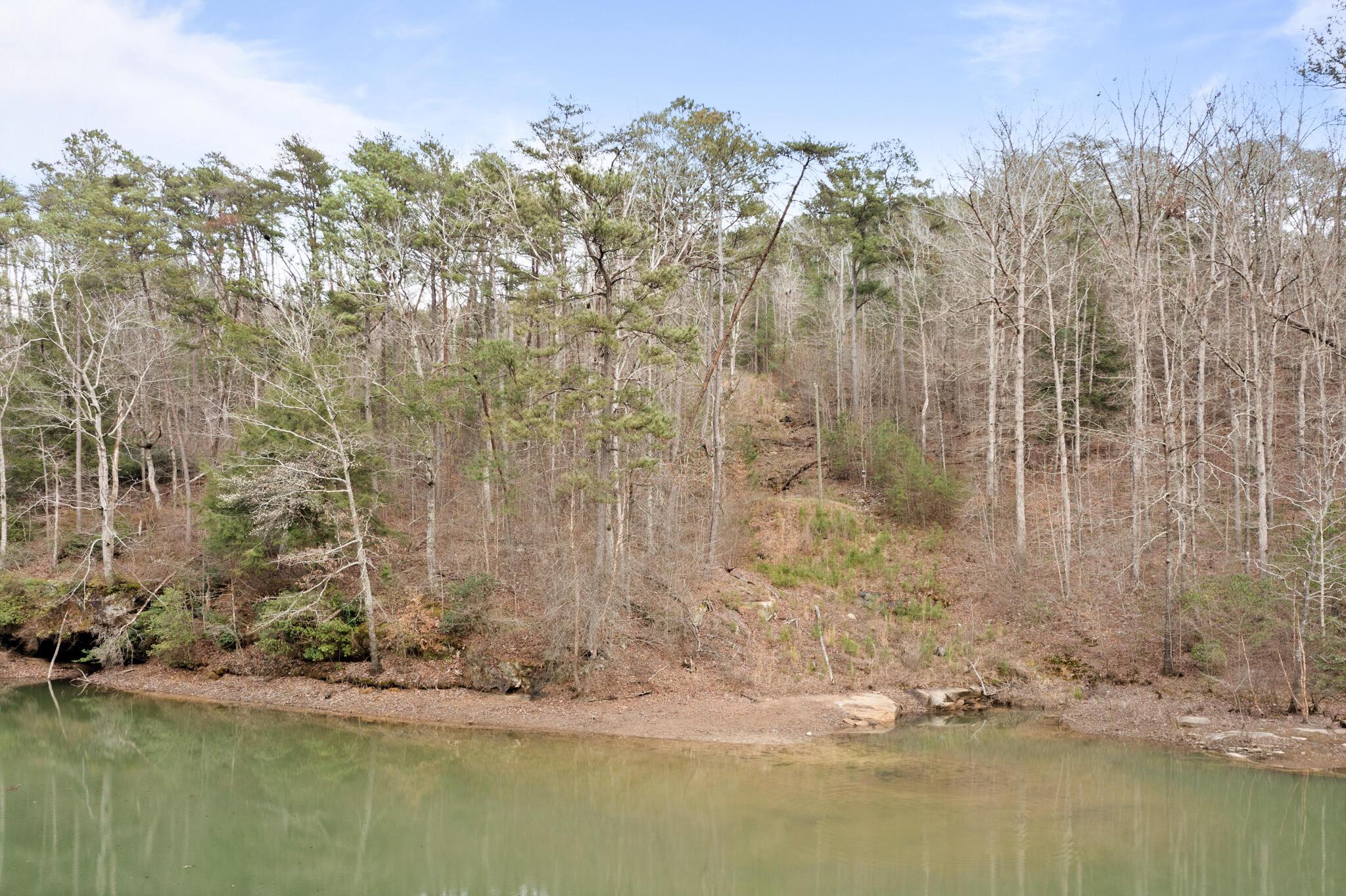 LOT 40 SIPSEY OVERLOOK