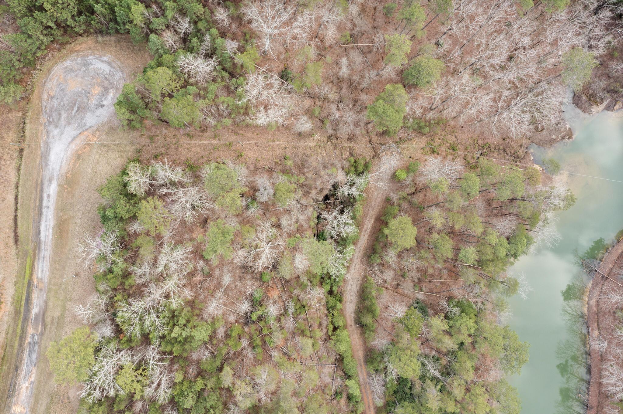 LOT 40 SIPSEY OVERLOOK