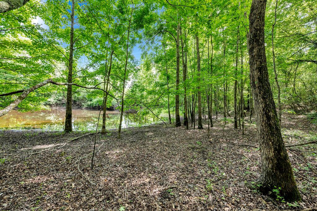 LOT 3 SHORESIDE AT SIPSEY