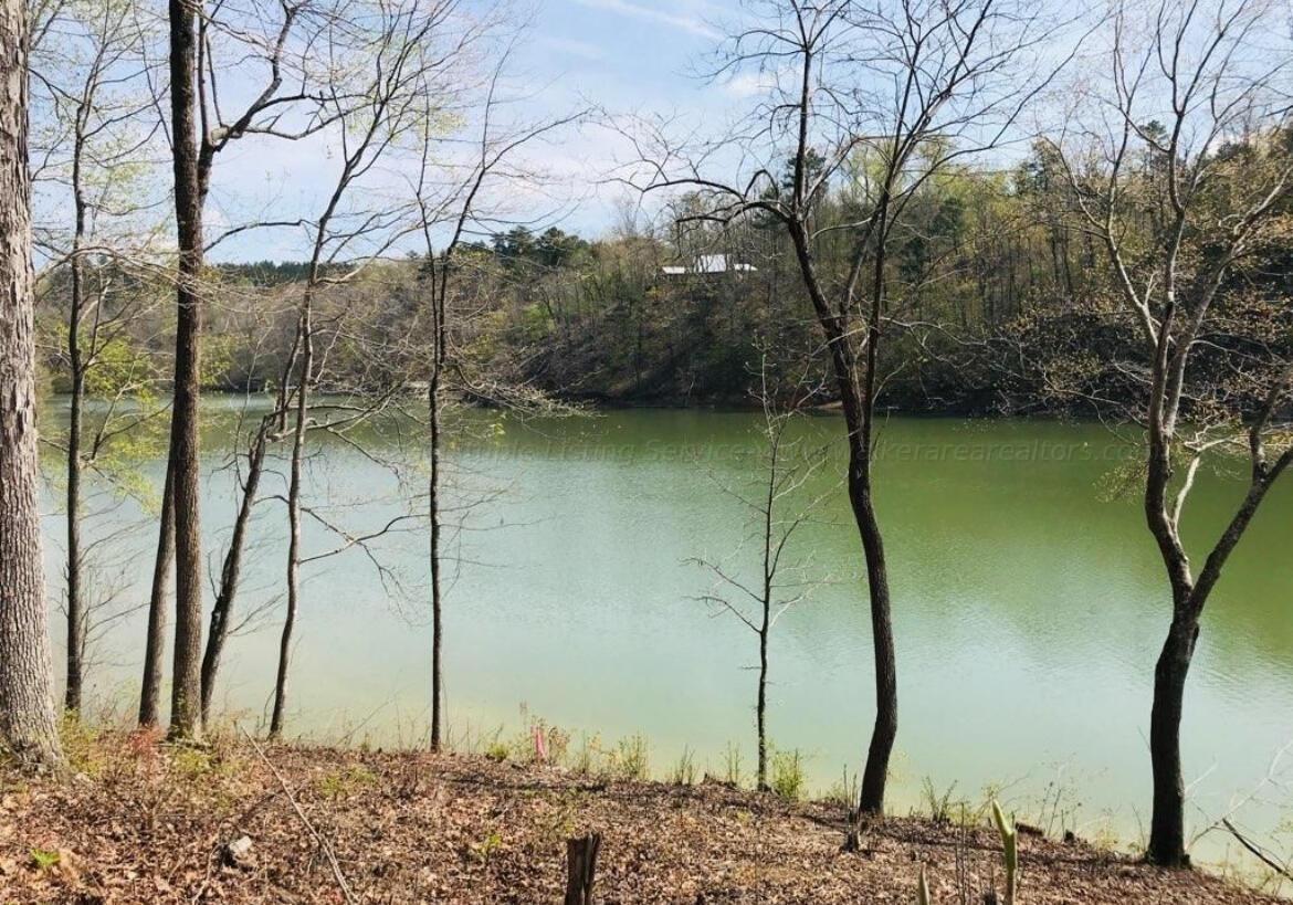 0 COUNTY ROAD 373 LOT 22