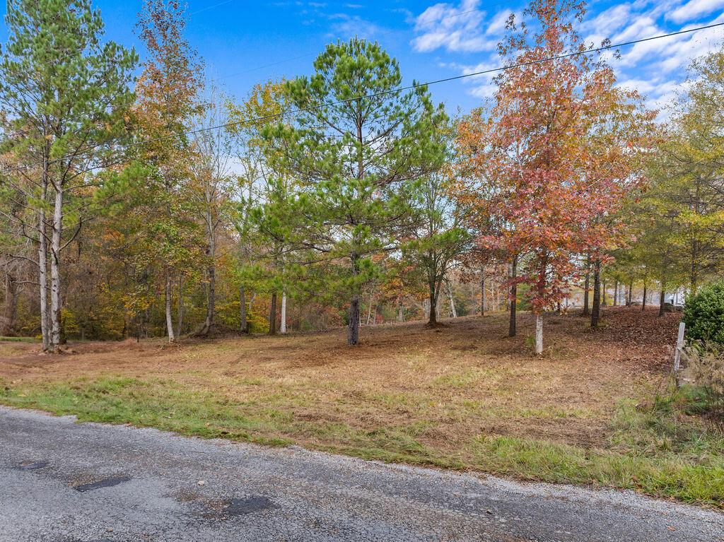 LOT 35 SIPSEY ROCK ROAD