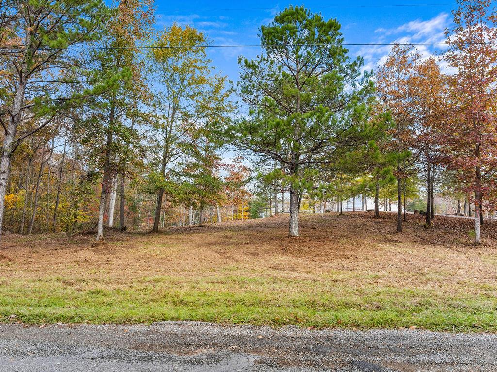LOT 35 SIPSEY ROCK ROAD