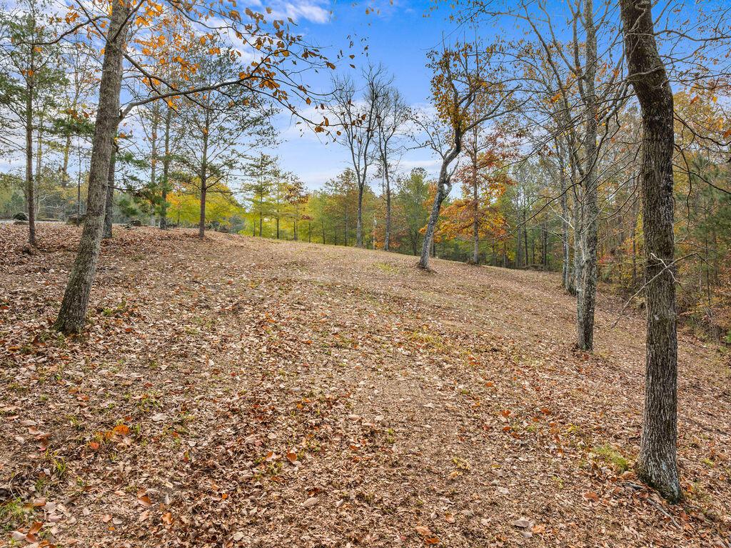 LOT 35 SIPSEY ROCK ROAD
