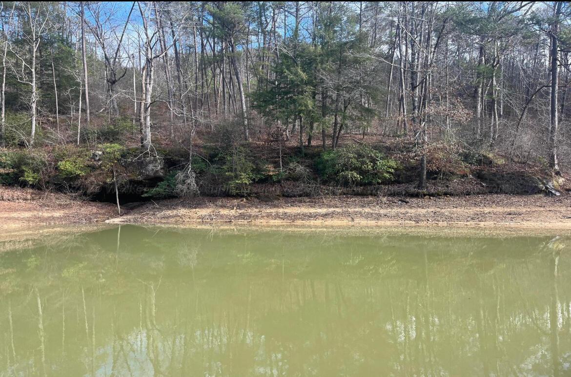 LOT 41 SIPSEY OVERLOOK