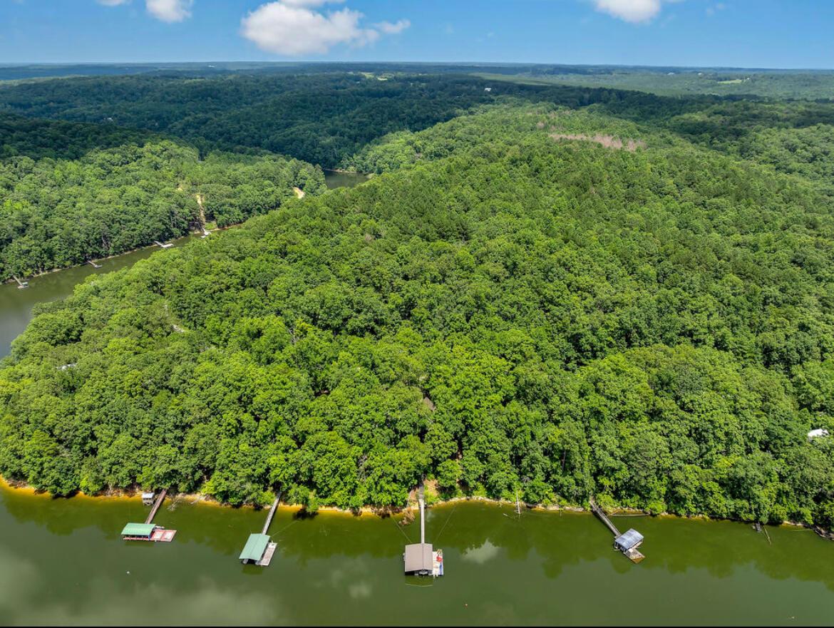 447 COUNTY ROAD 4028, Arley