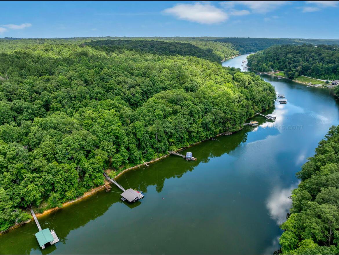 447 COUNTY ROAD 4028, Arley