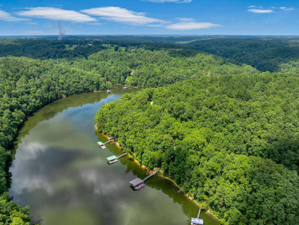 447 COUNTY ROAD 4028, Arley