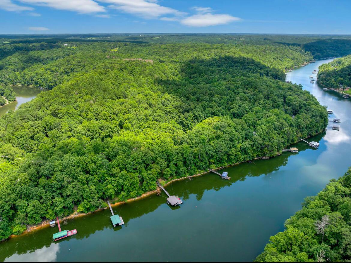 447 COUNTY ROAD 4028, Arley