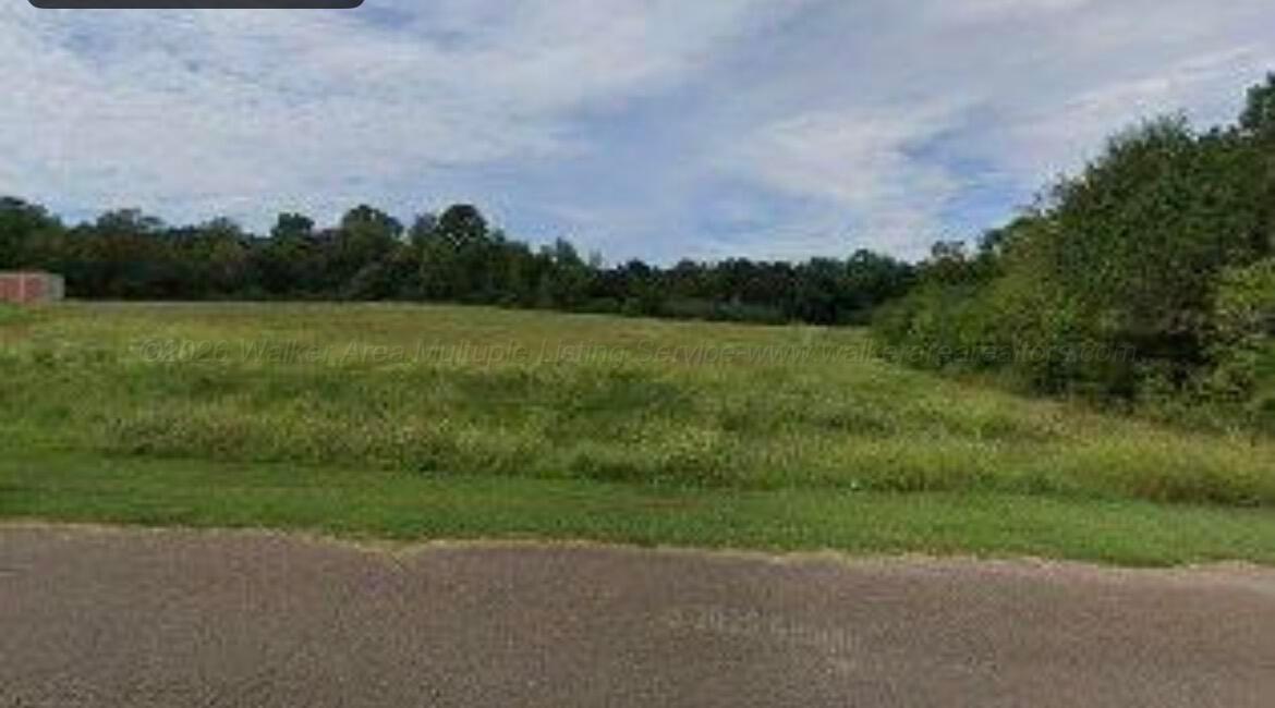 0 DOGWOOD LANE