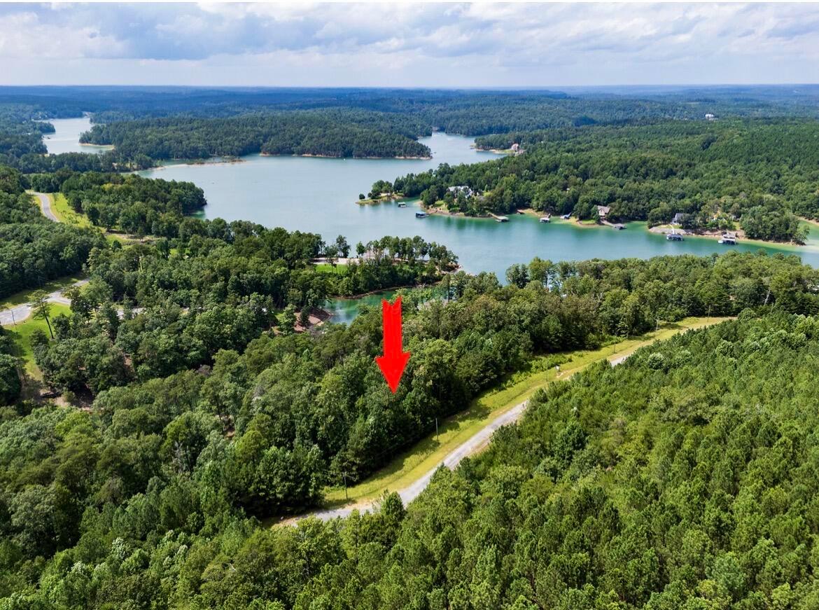 LOT 40&41 SIPSEY OVERLOOK Rd