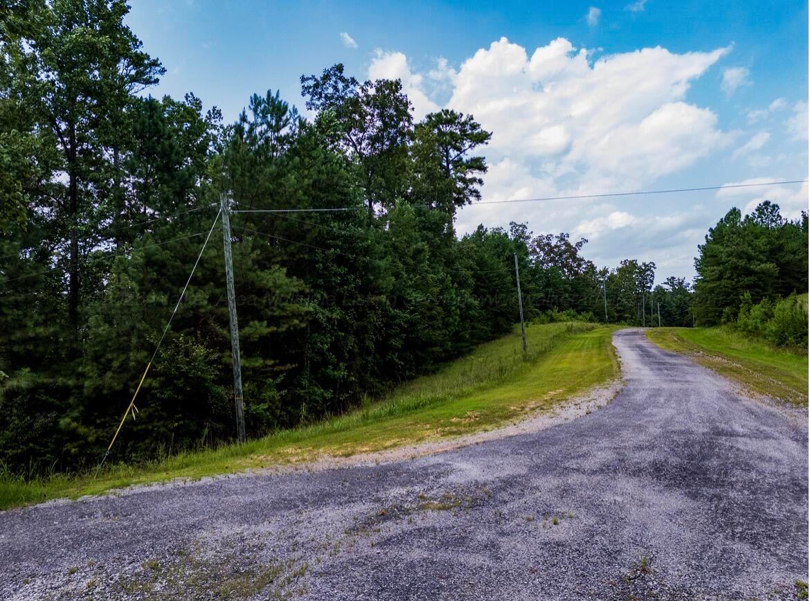 LOT 40&41 SIPSEY OVERLOOK Rd