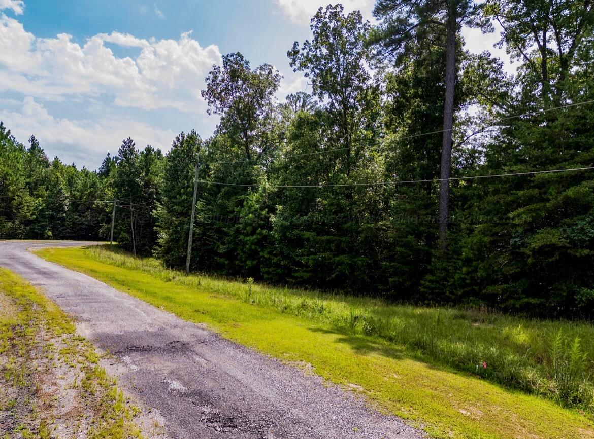 LOT 40&41 SIPSEY OVERLOOK Rd