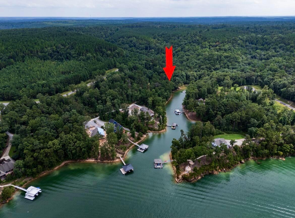LOT 40&41 SIPSEY OVERLOOK Rd