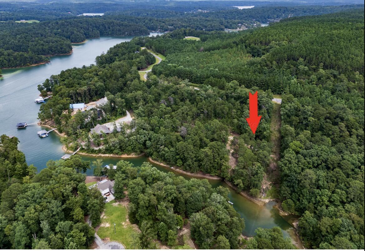 LOT 40&41 SIPSEY OVERLOOK Rd