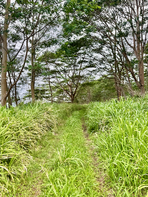 MEYER RD