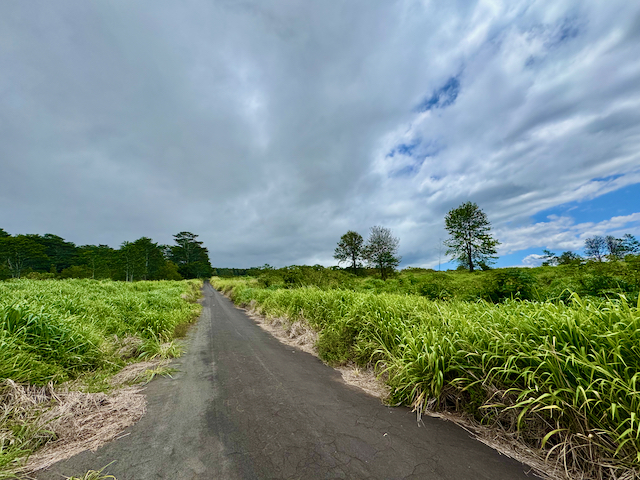 MEYER RD