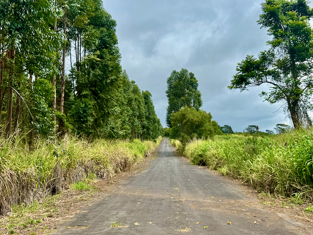 MEYER RD