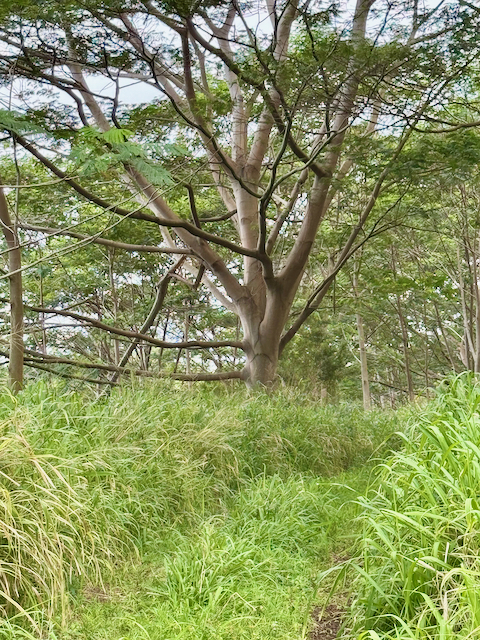 MEYER RD