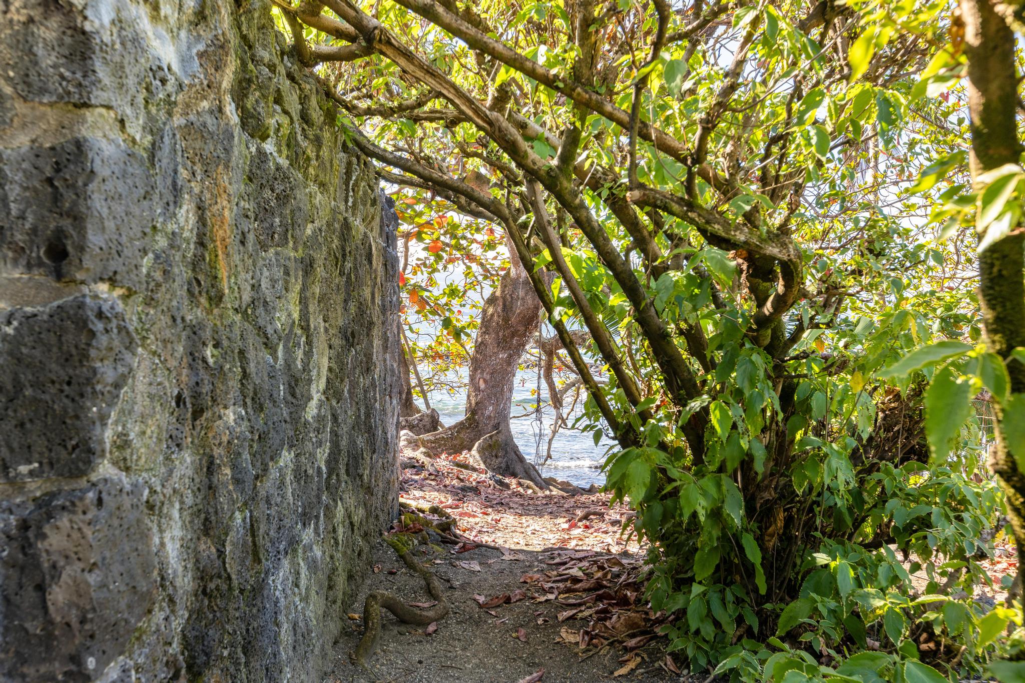 1303 KALANIANAOLE ST 1-12