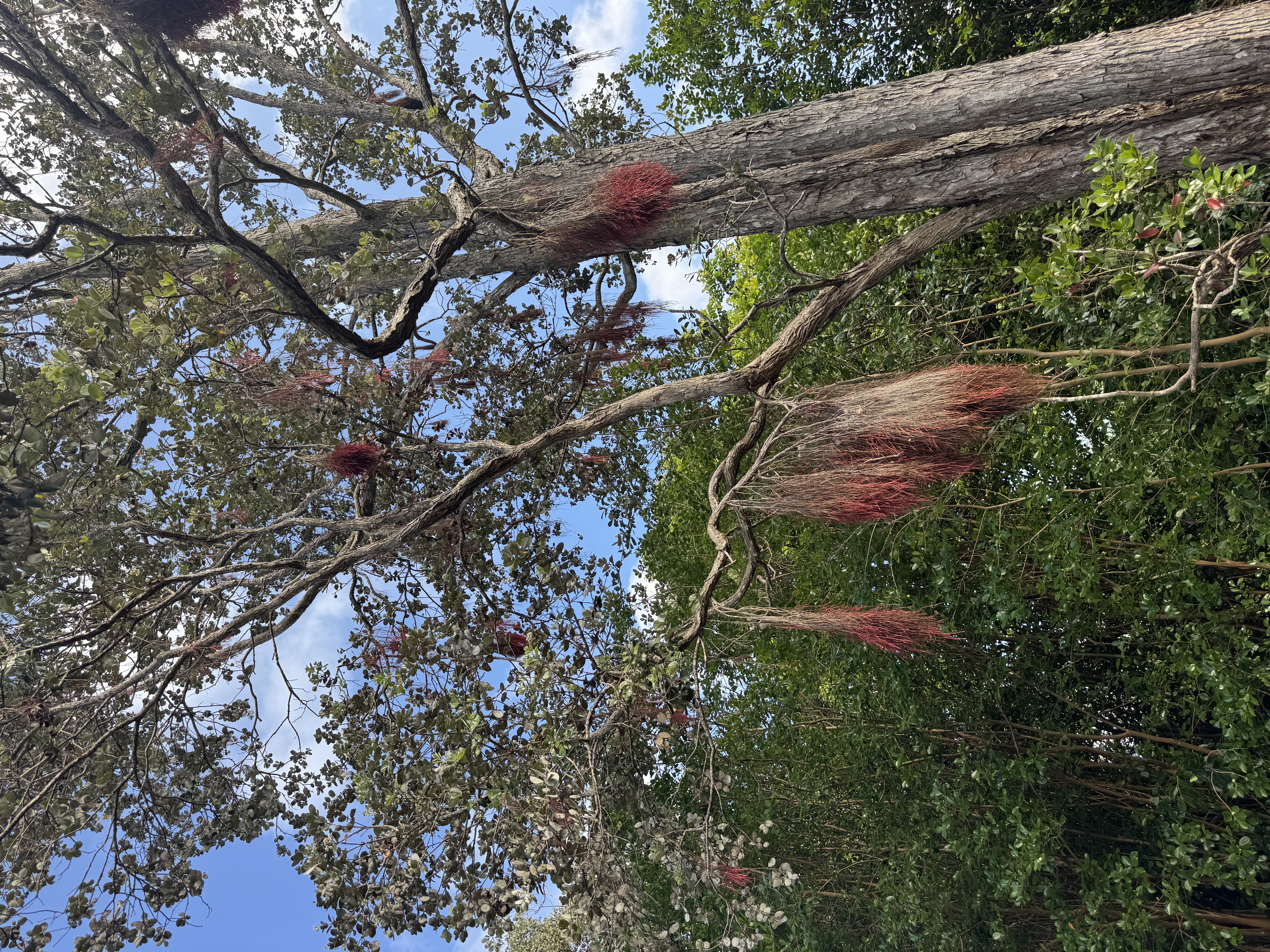 75-1300 KEOPU MAUKA DR