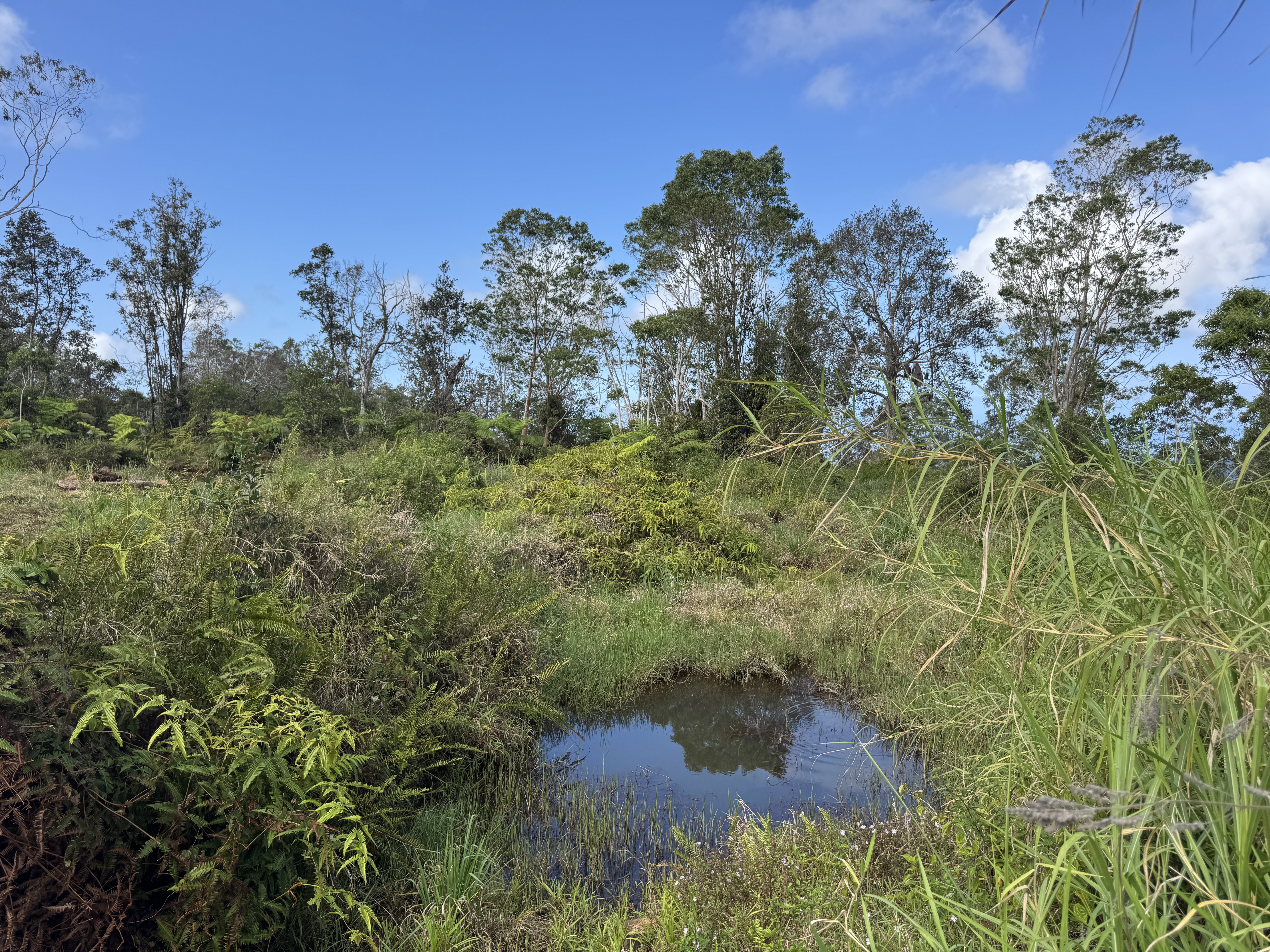 75-1306 KEOPU MAUKA DR