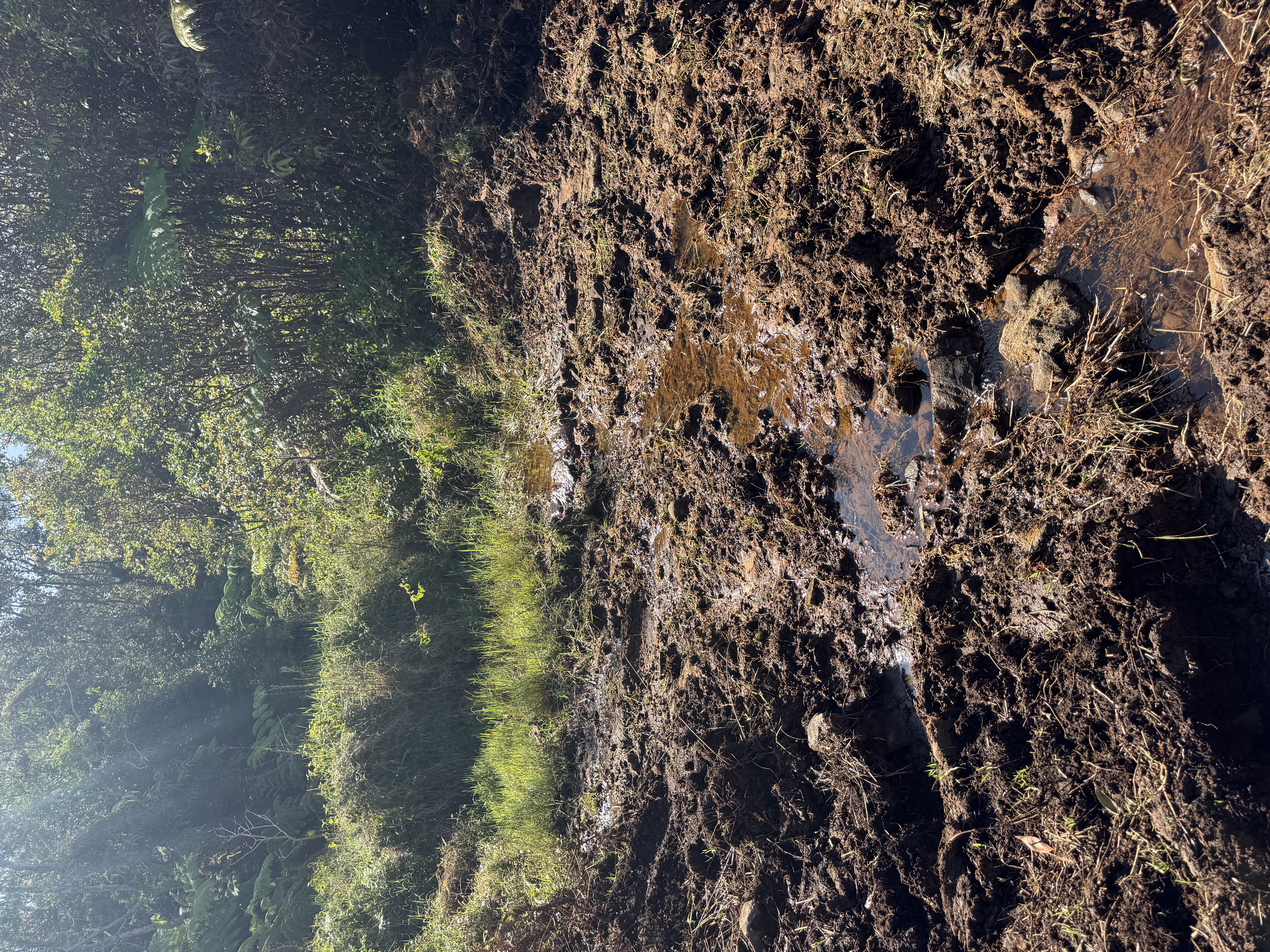 75-1306 KEOPU MAUKA DR