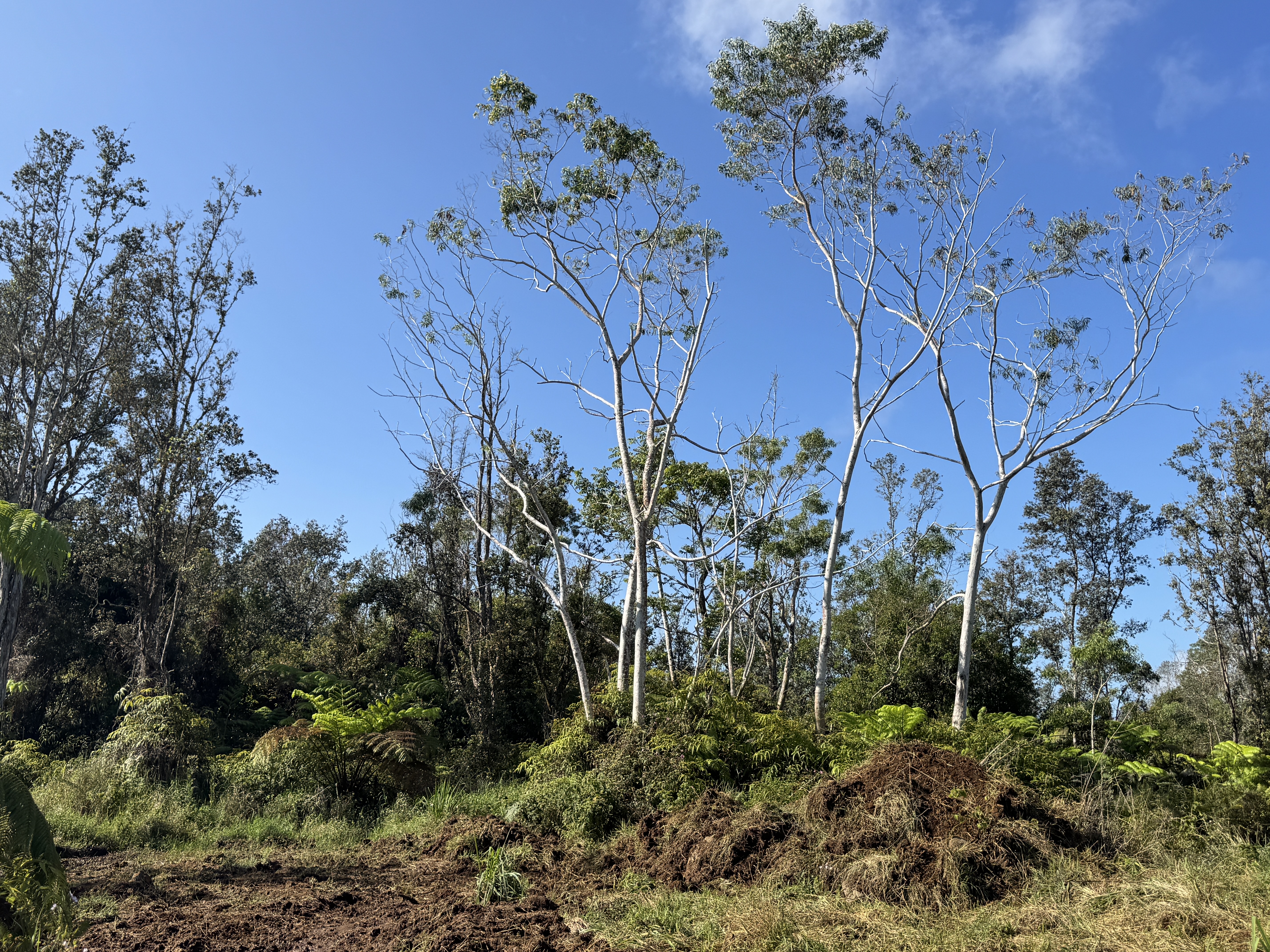 75-1306 KEOPU MAUKA DR