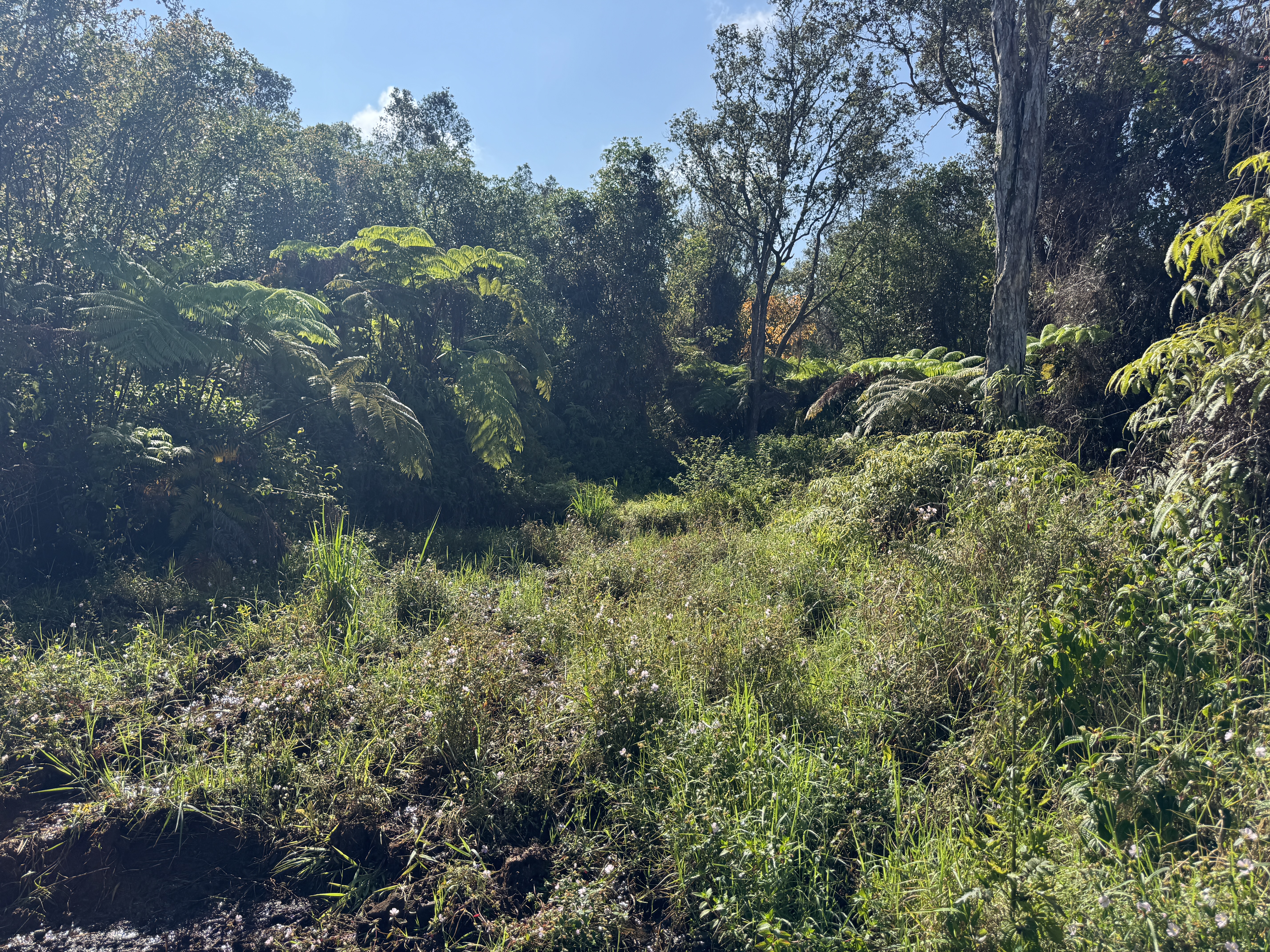 75-1306 KEOPU MAUKA DR
