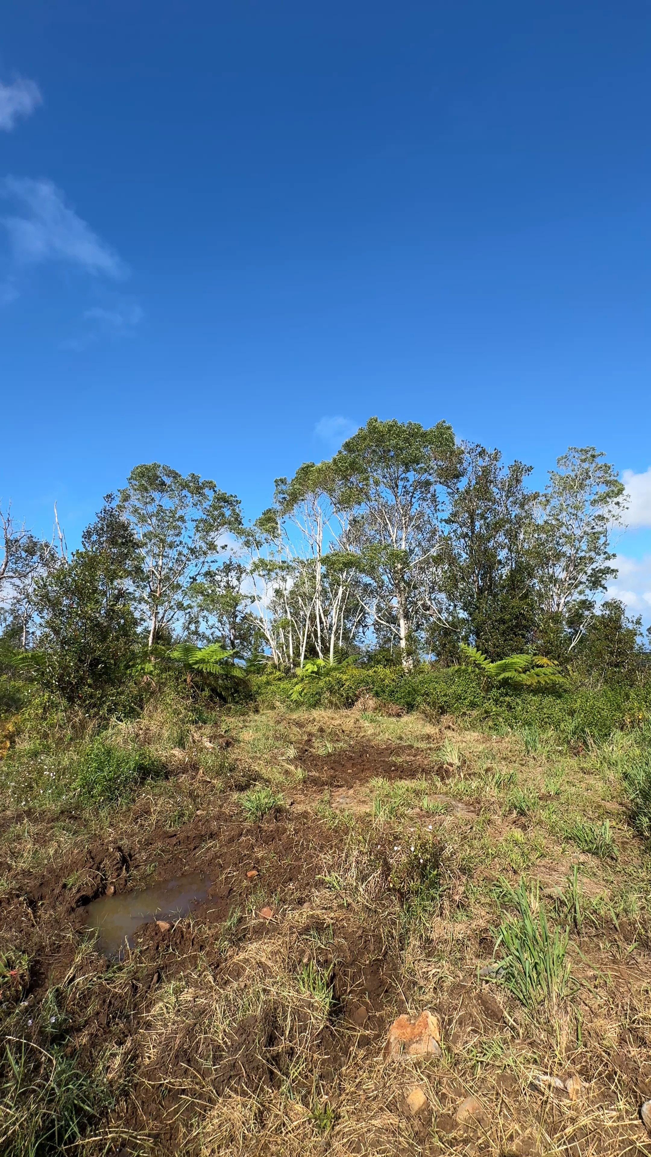 75-1306 KEOPU MAUKA DR