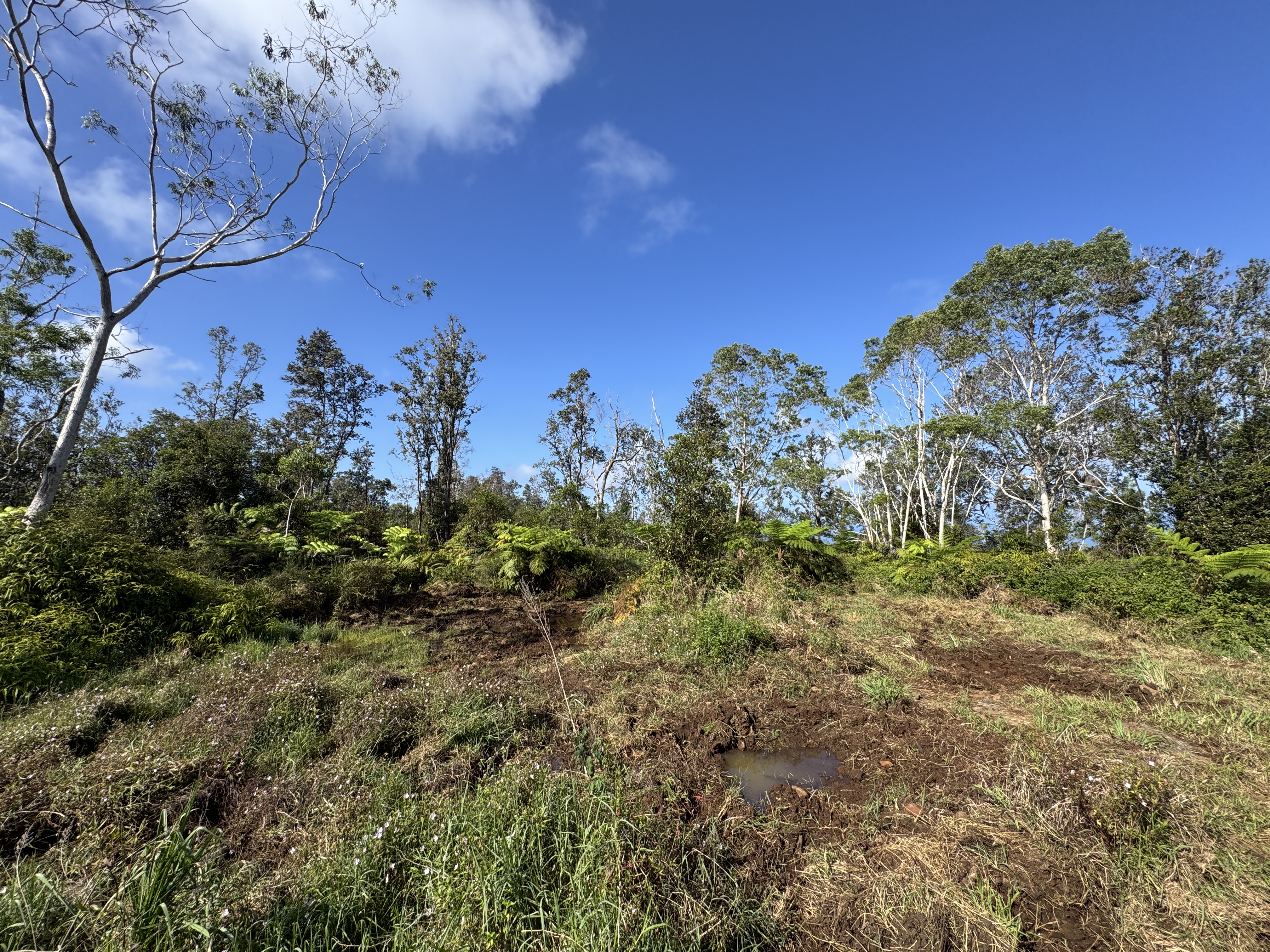 75-1306 KEOPU MAUKA DR