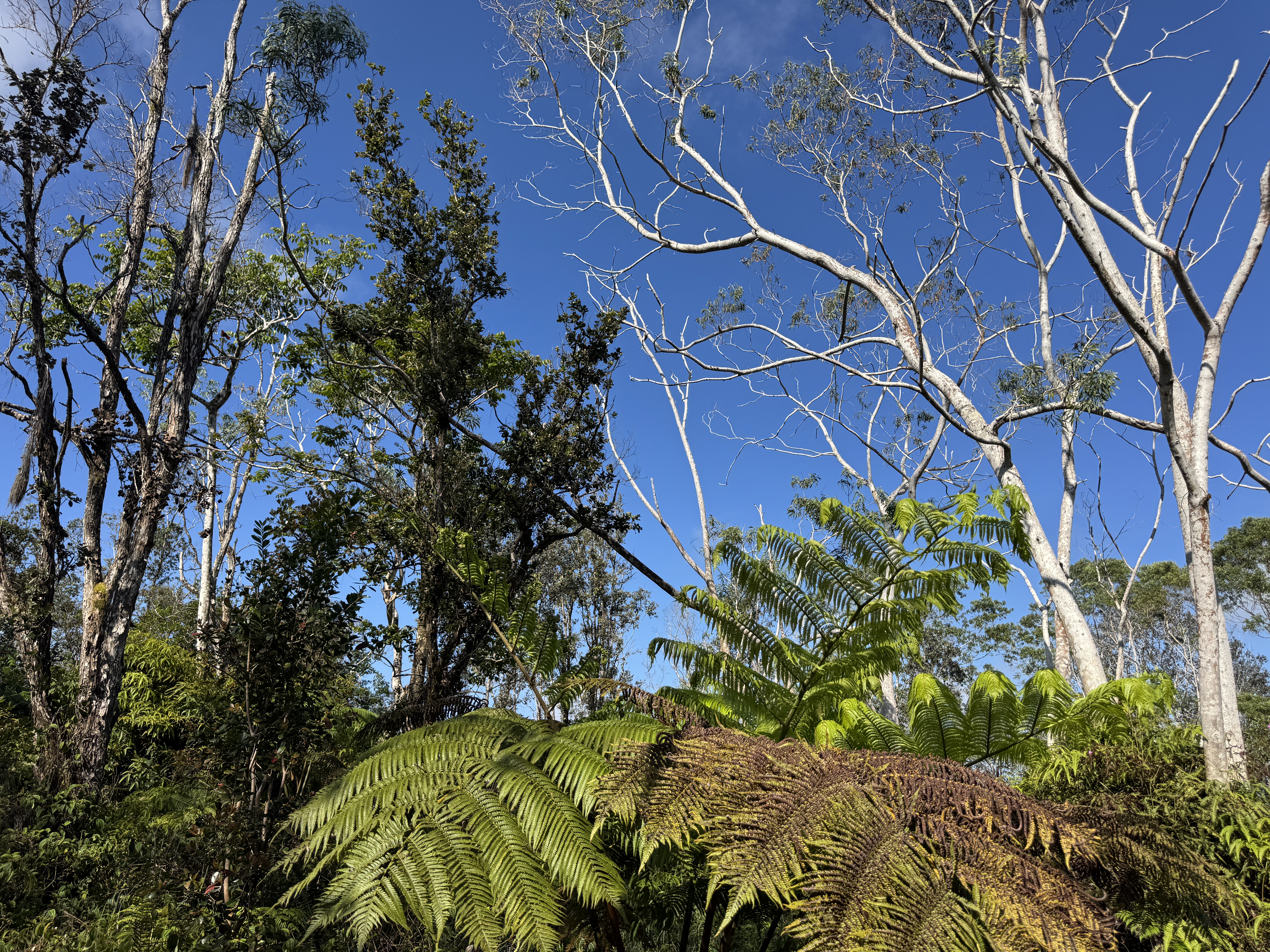 75-1306 KEOPU MAUKA DR