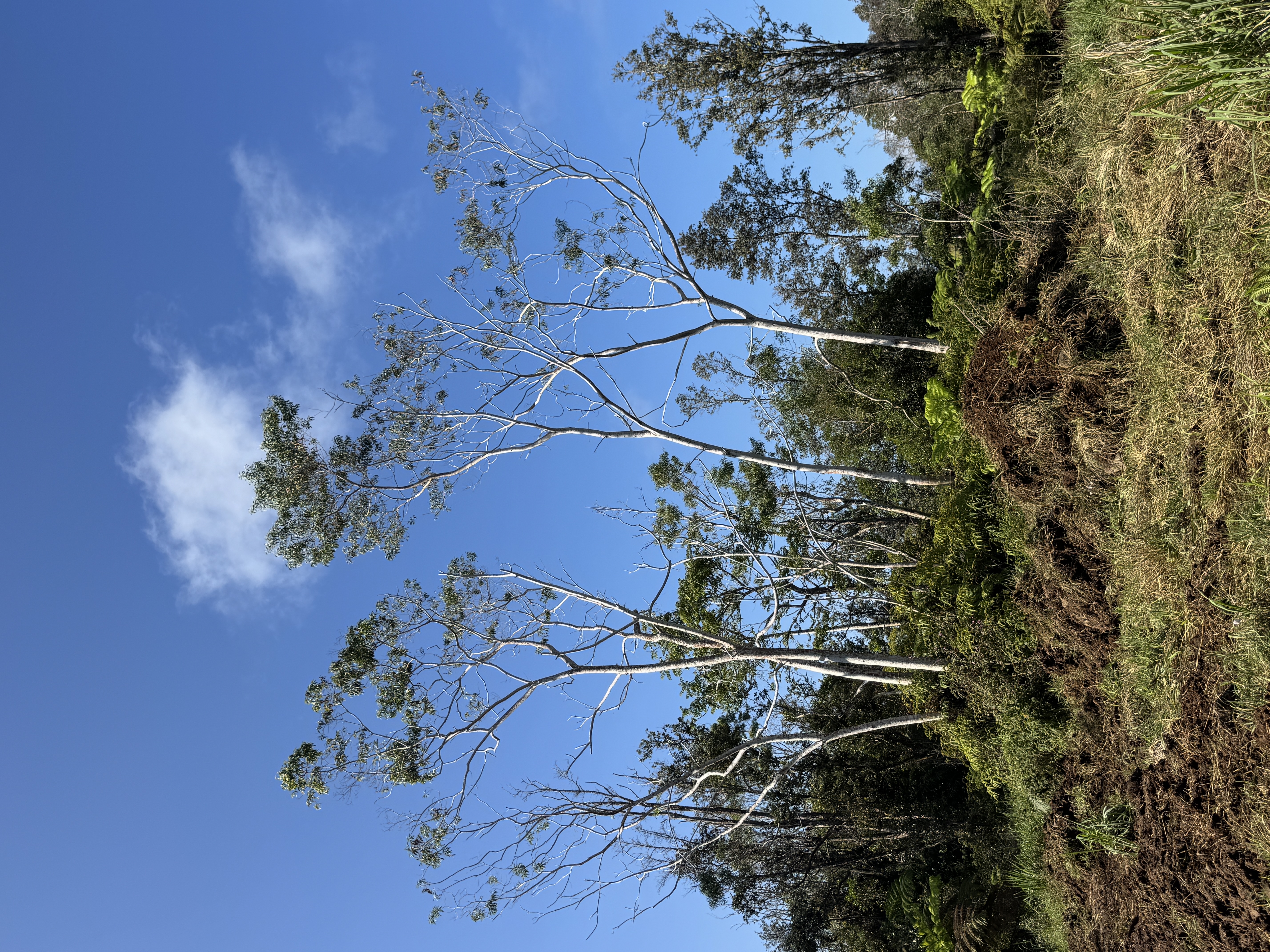 75-1306 KEOPU MAUKA DR