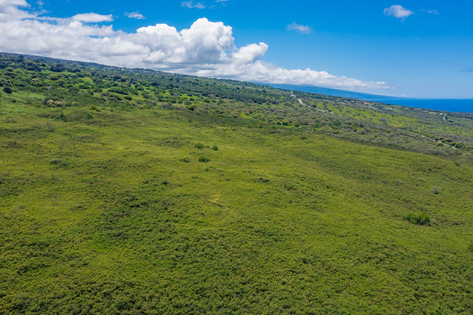 Kailua Kona