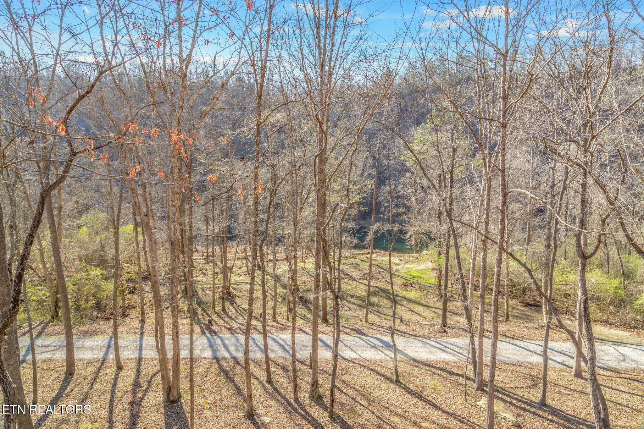 116 Chickasaw Drive