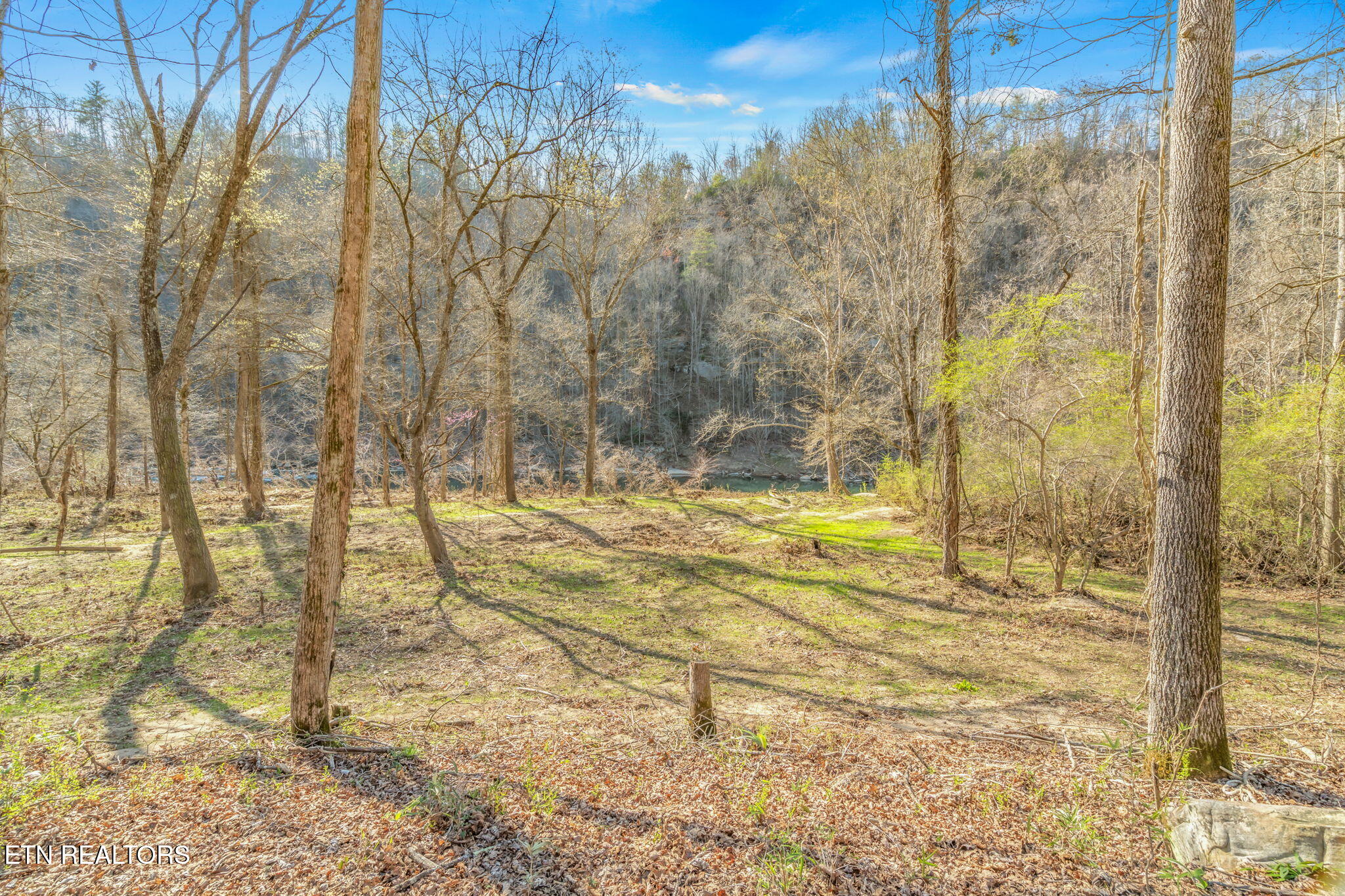 116 Chickasaw Drive