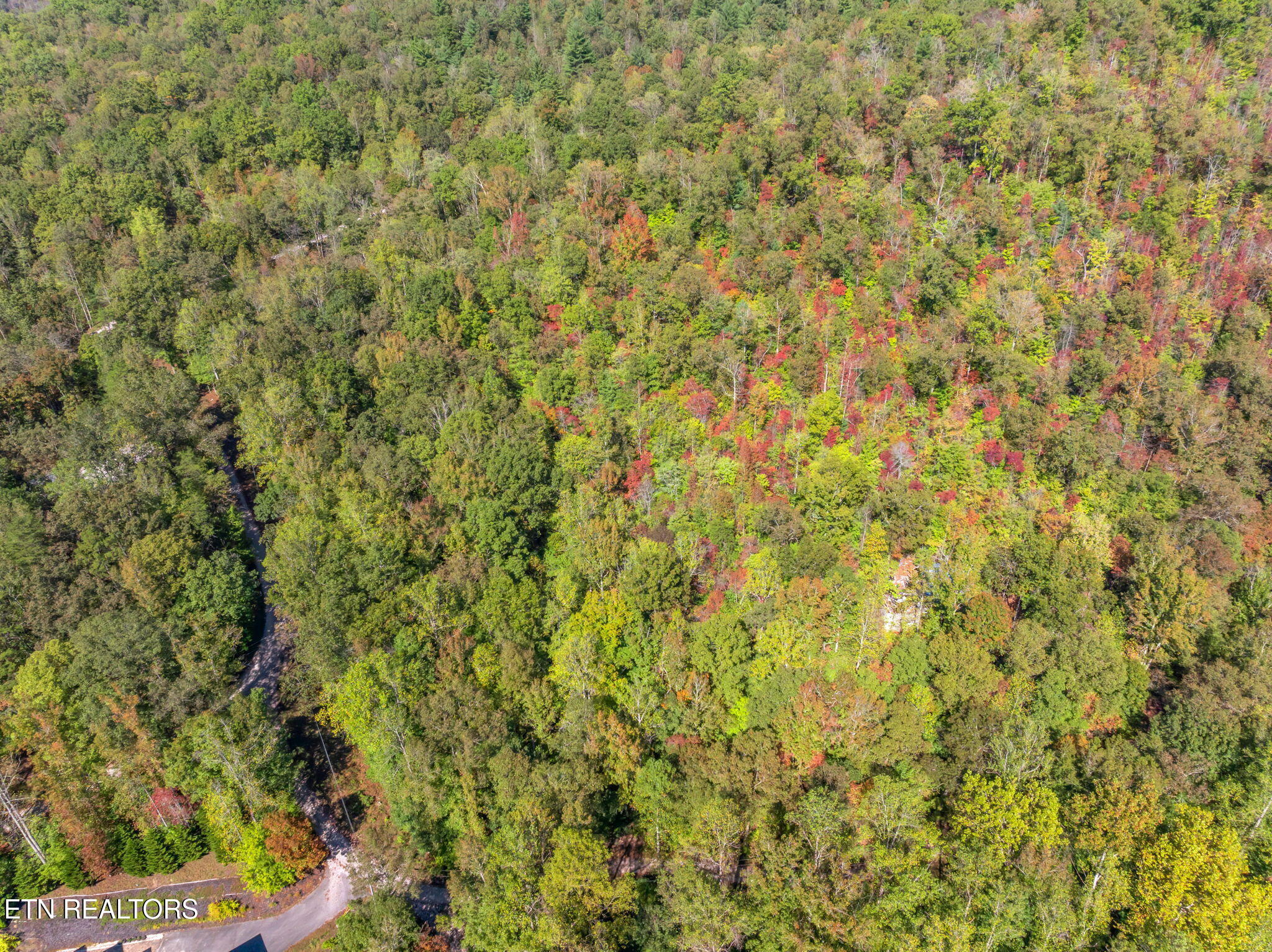 Tunnel Hill Rd
