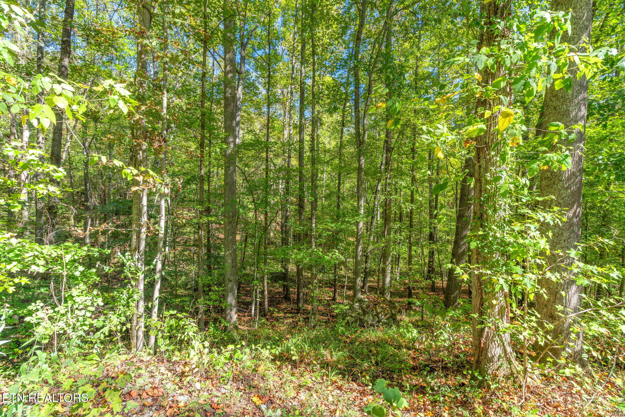 Tunnel Hill Rd